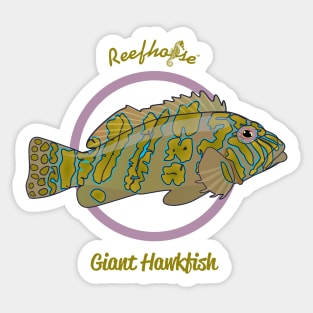 Giant Hawkfish Sticker